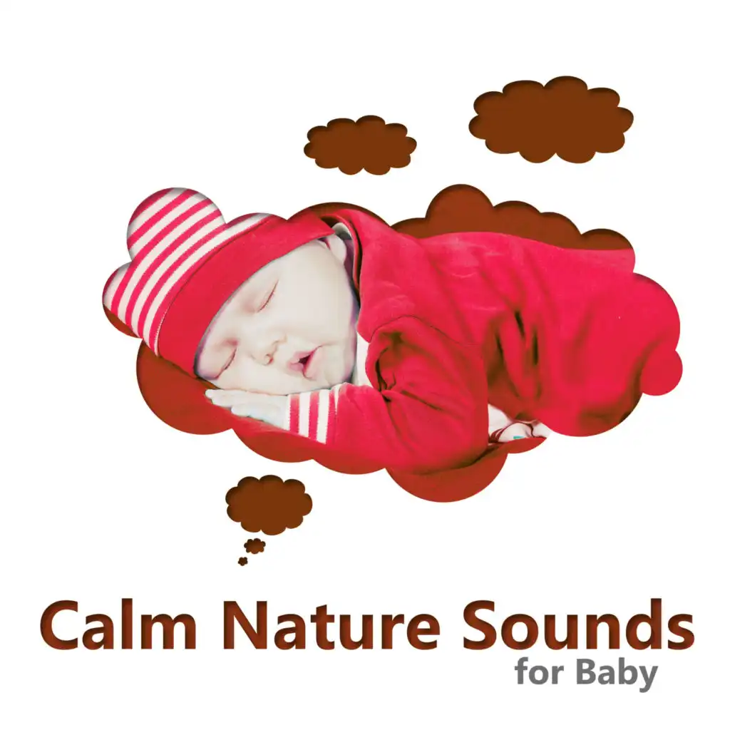 Nature Sounds