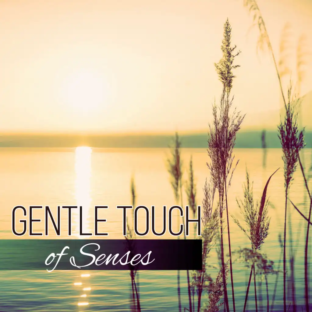 Gentle Touch of Senses - The Best Music for Restful Sleep, Relaxing Background Music, Sweet Dreams, Inner Peace