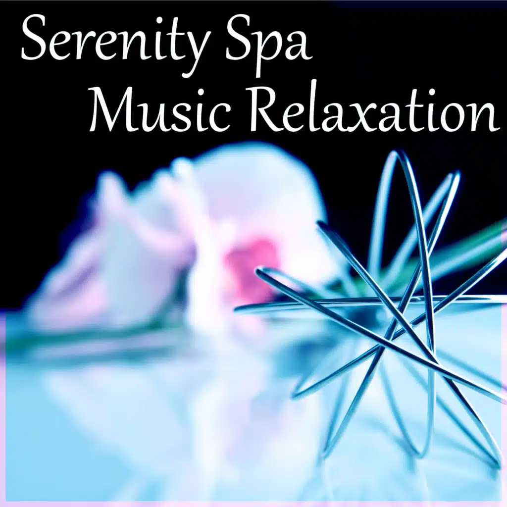 Calming Music (Piano Song)