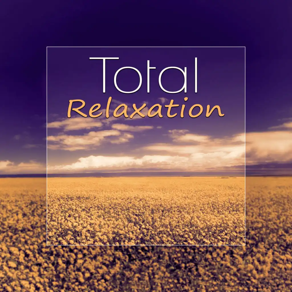 Total Relaxation - Piano Music, Take a Free Time, Soothing Piano Music Therapy, Health & Healing Relaxation