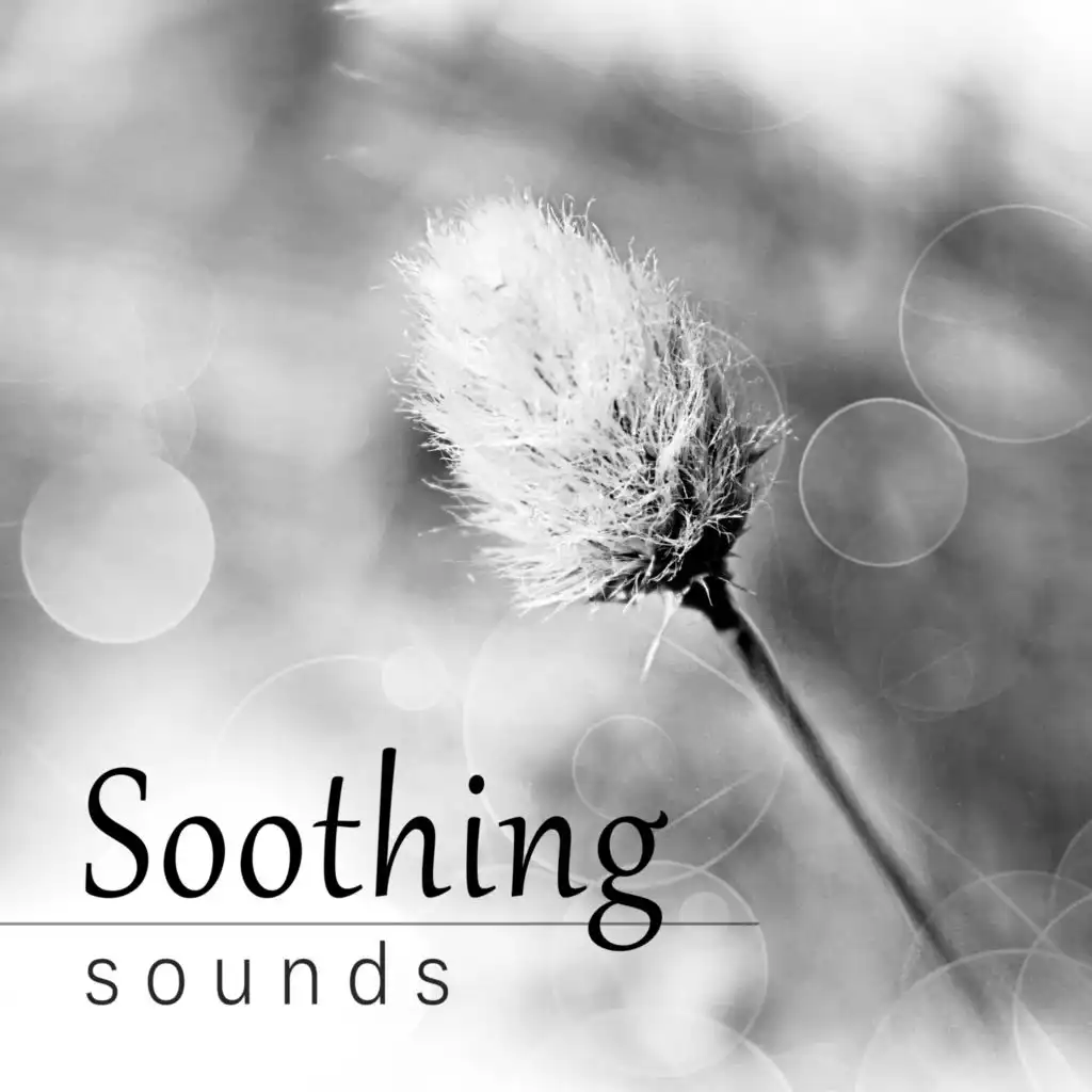 Soothing Sounds