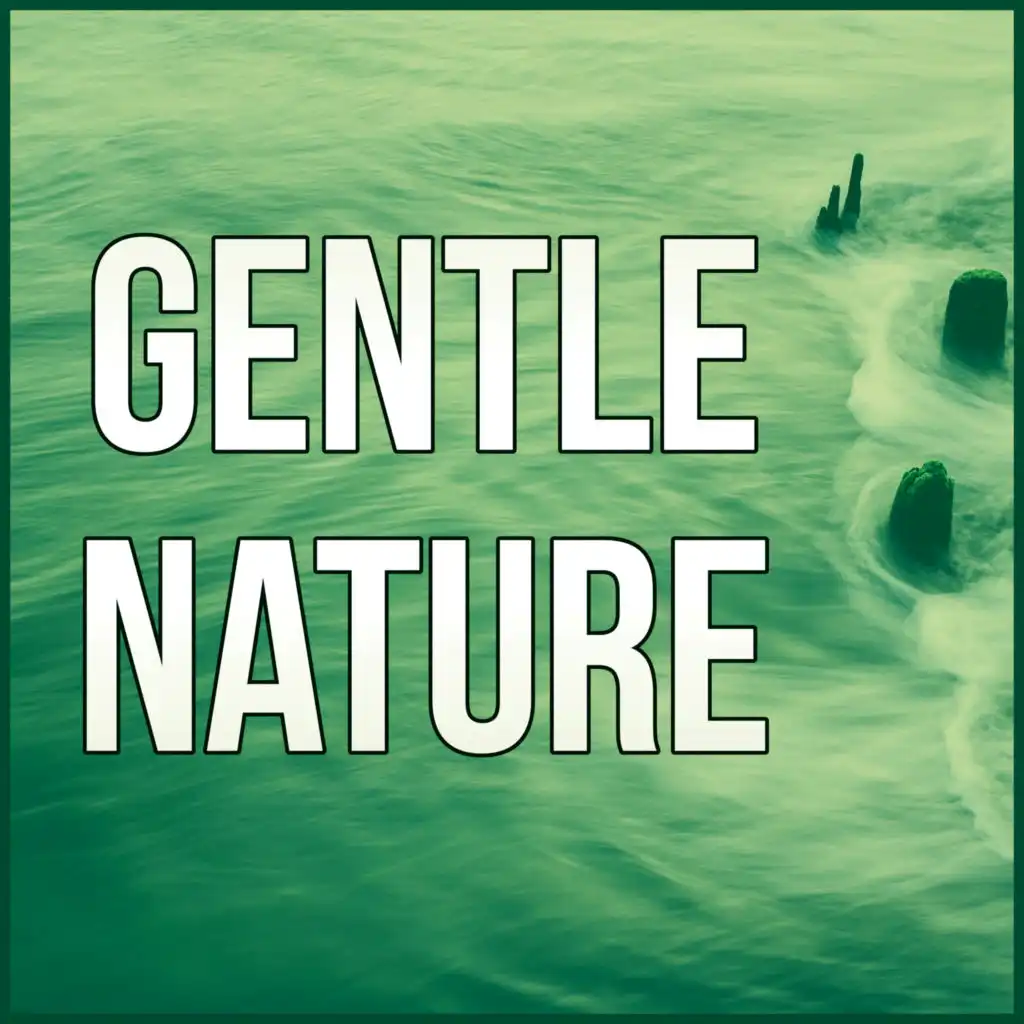 Gentle Nature - Nature Sounds, Massage Therapy, Intimate Moments, Sensual Massage Music for Aromatherapy, Amazing Spa