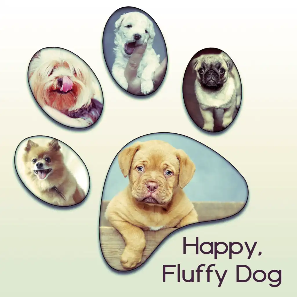 Happy, Fluffy Dog