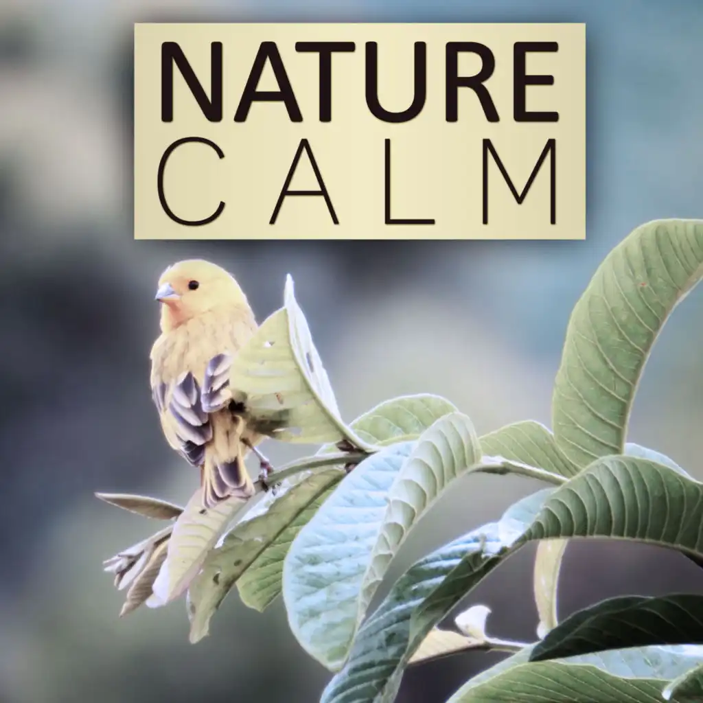 Nature Calm - Instrumental Music, Massage, Natural Therapy, Spa, Calmness, Harmony