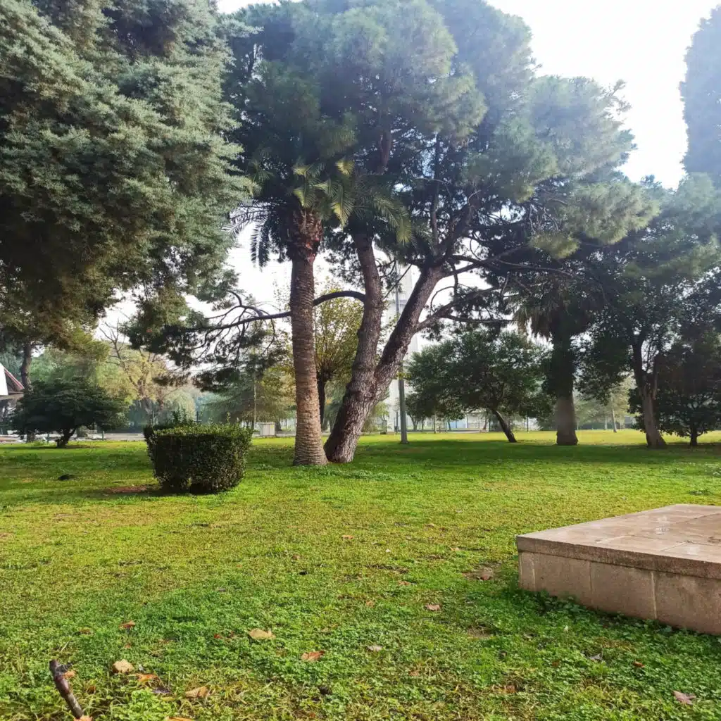 Ağrı Dağından Uçtum