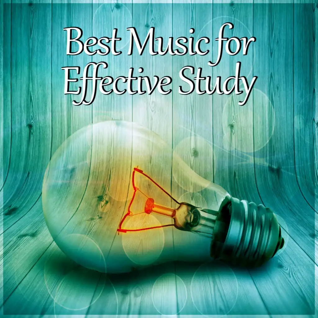 Best Music for Effective Study – Focus on Task, Deep Sound for Concentration, Calming Music for Learning