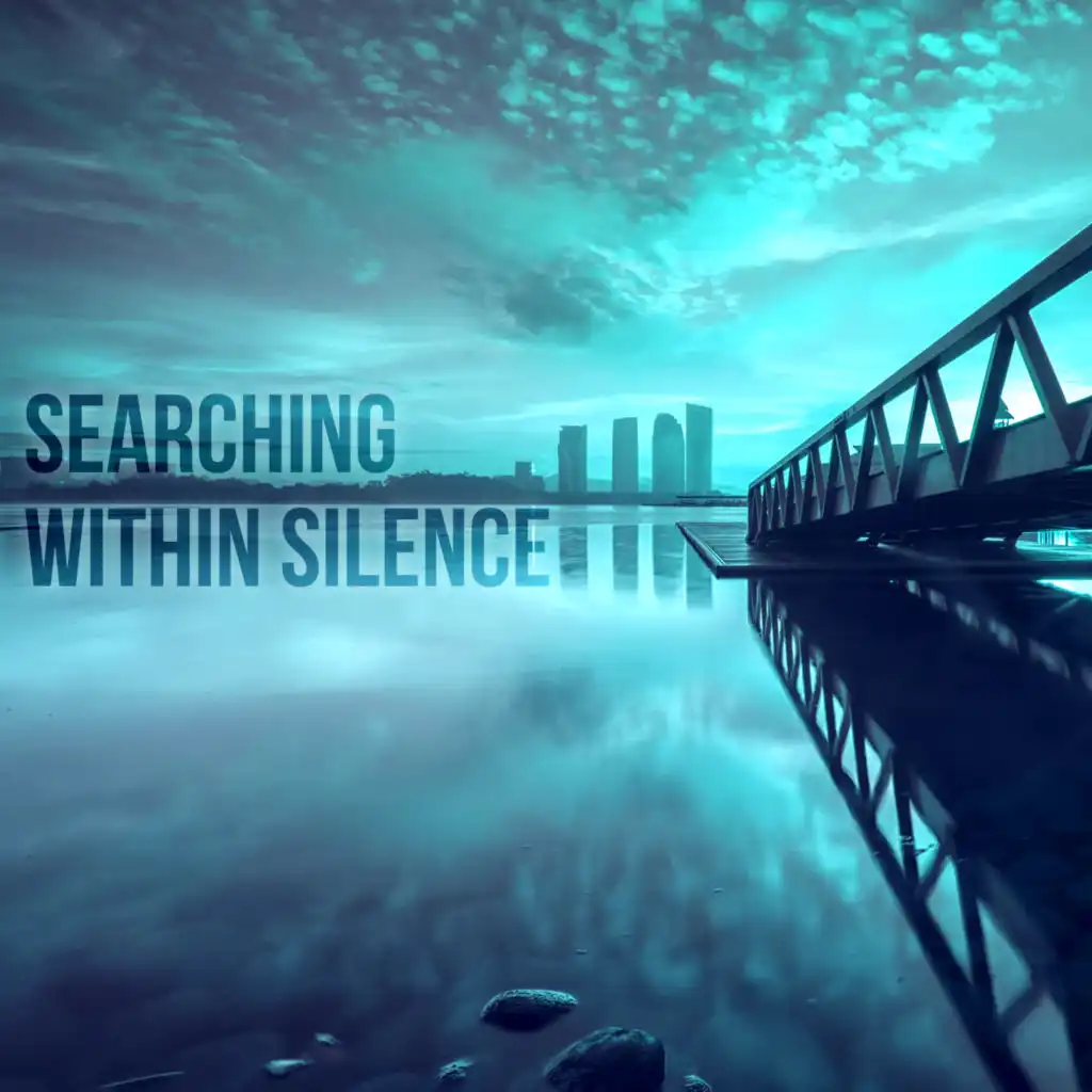 Searching Within Silence