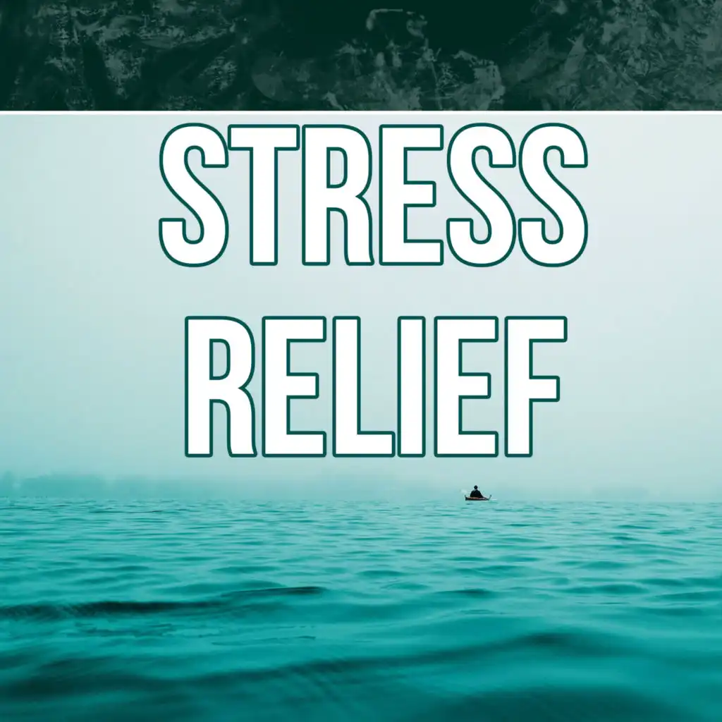 Stress Relief - Sounds of Silence, Sweet Dreams with Soothing Music, Relaxing Spa Background Music, Yin Yoga & Meditation, Concentration & Relaxation, New Age Music, Stress Relief