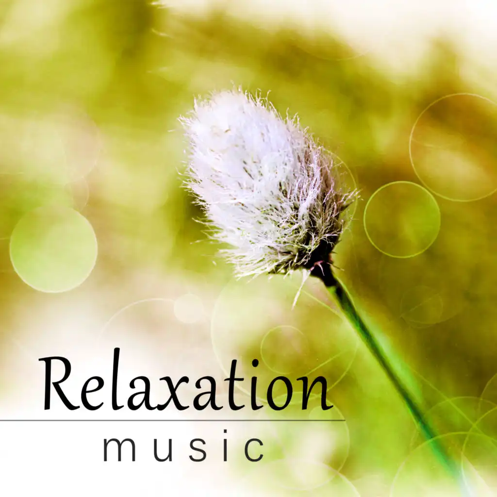 Relaxation Music (Easy Sleep)