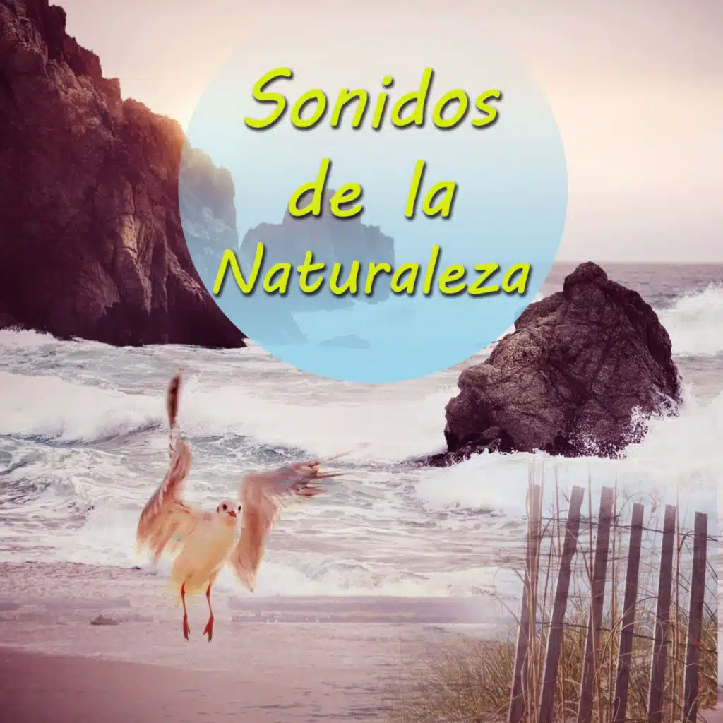 Musica para Meditar (Sonidos de la Naturaleza)