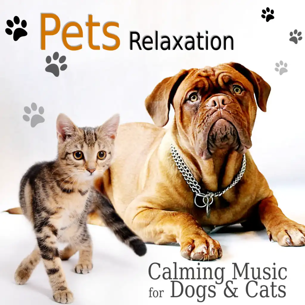 Calming Music for Pets