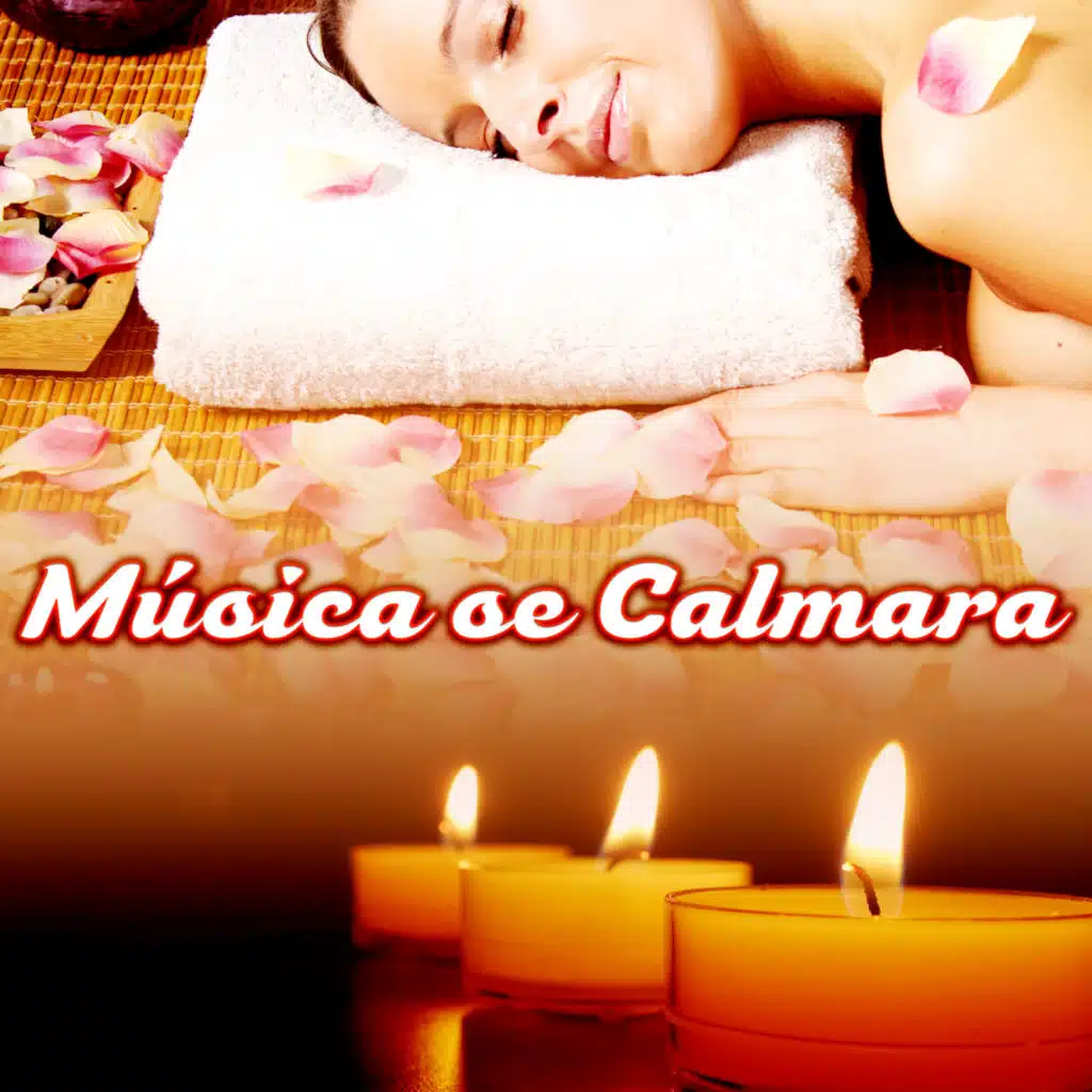 Música se Calmara - Música SPA para Masaje y Relajación Ejercicios, Musica de Meditacion, Sonidos de la Naturaleza, Reiki, Yoga y Ayurveda, Relaje Su Cuerpo y Su Alma Usando Aromaterapia, Wellness y SPA