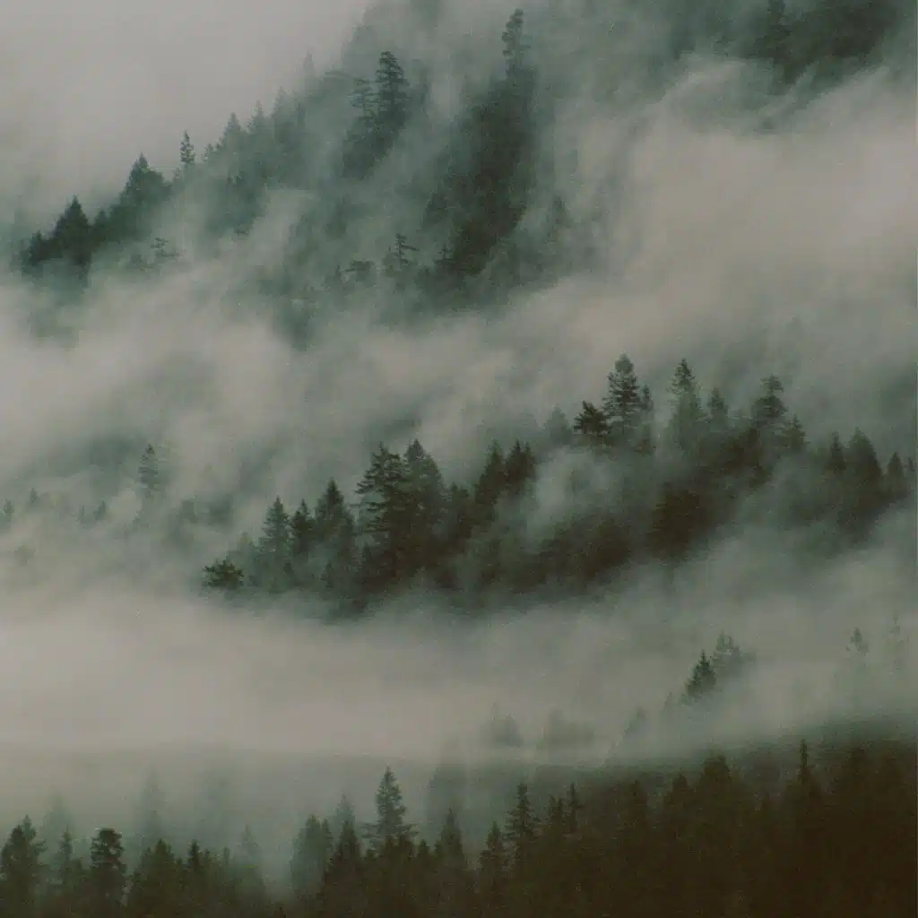 Run to You&nbsp; (LoFi) [feat. Nathan Kawanishi]