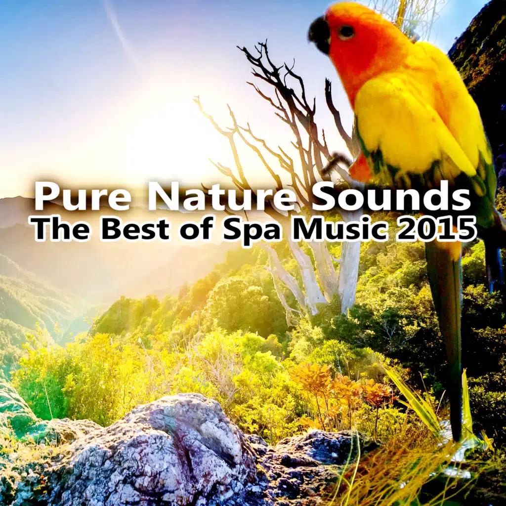 Pure Nature Sounds – The Best of Spa Music 2015, Meditation, Yoga, Relaxing Sounds to Sleep, White Noise Sound Effects, Waterfalls, Oceans, Rain, River, Bubbling Brooks