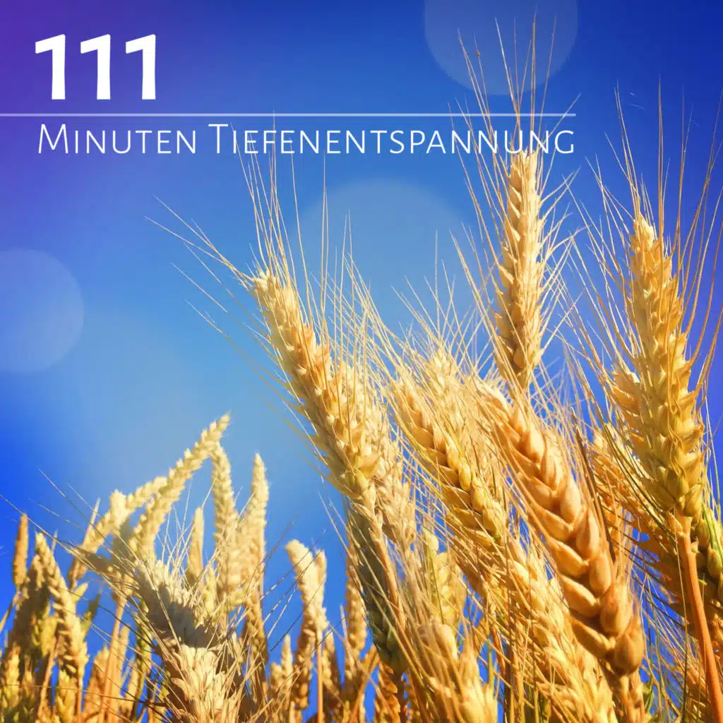 Tiefenentspannung (Relaxing Music)