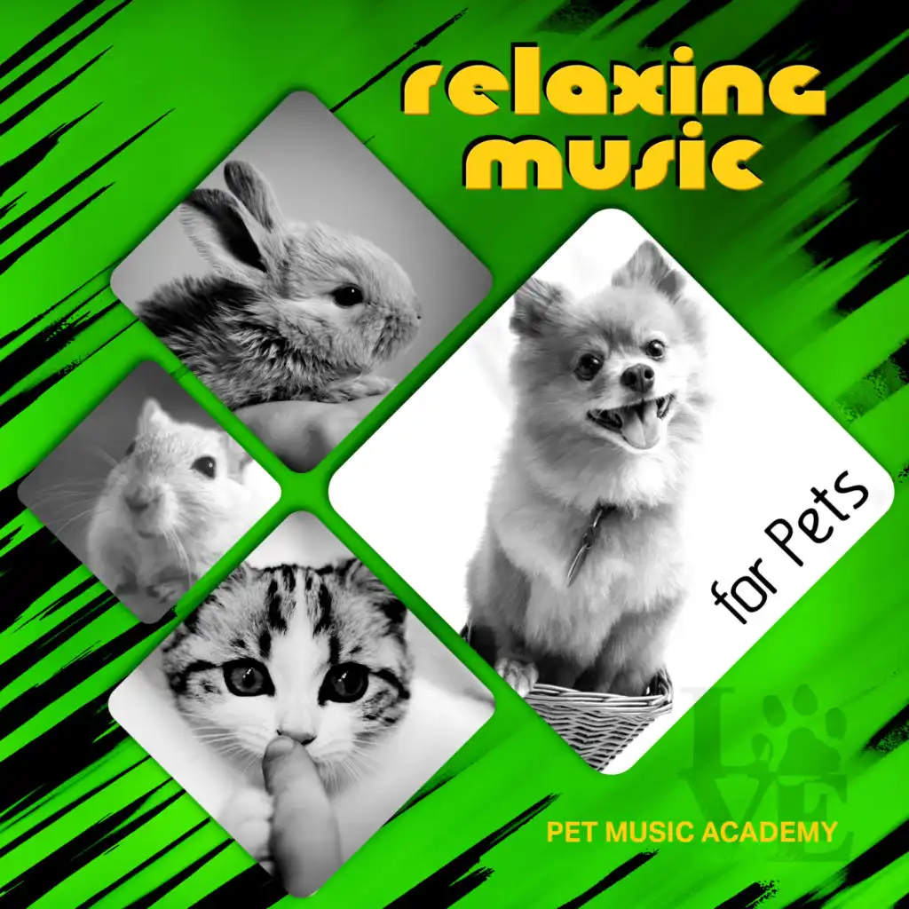 Nature Sounds for Pets