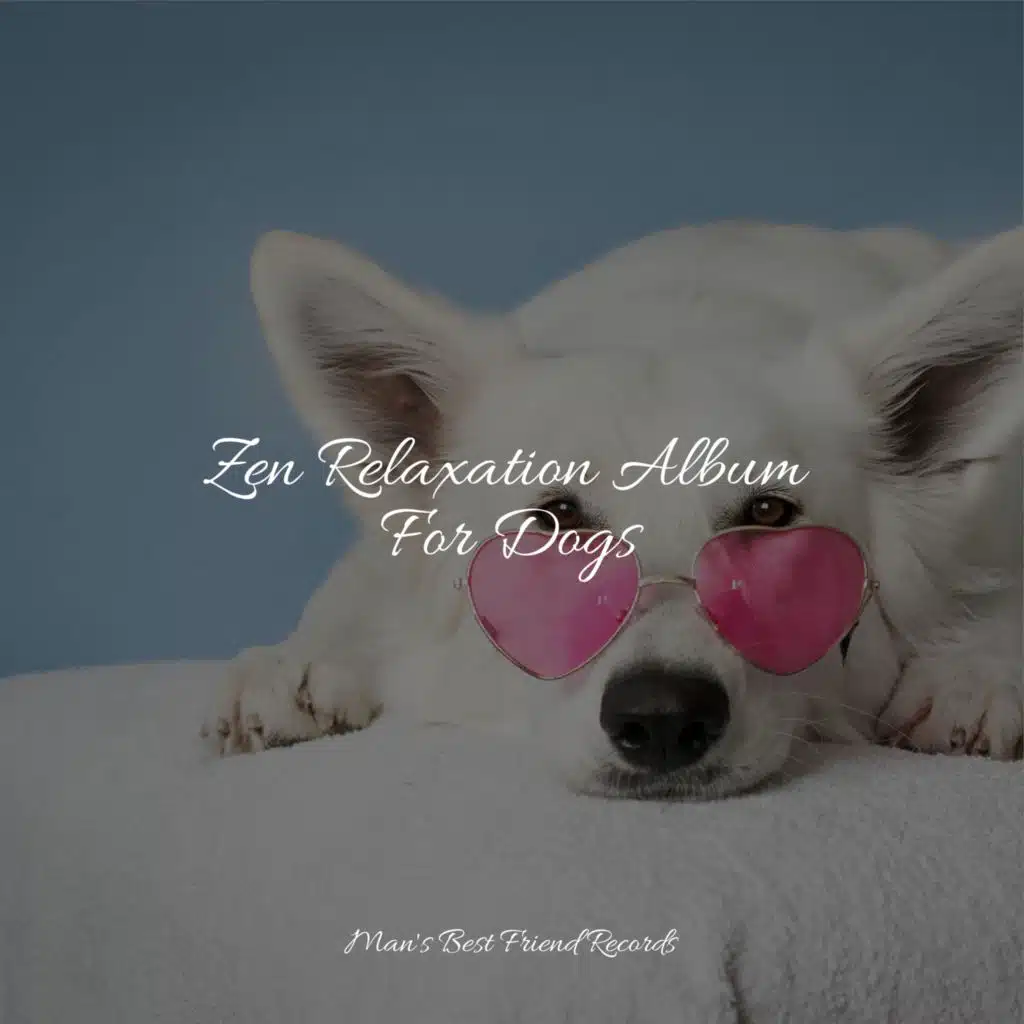 Sleep Music For Dogs, Relaxing Music for Dogs & Relaxation Music For Dogs