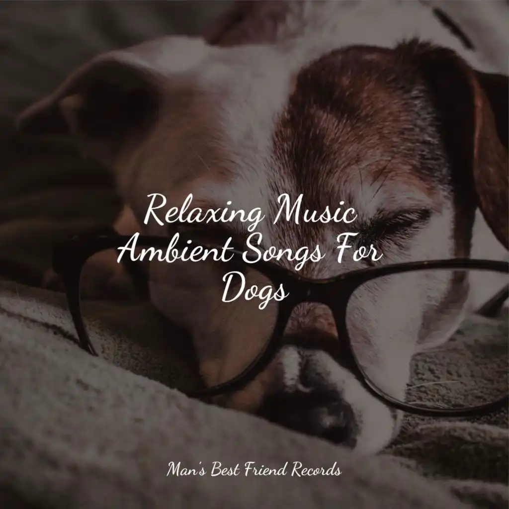 Relaxation Music For Dogs, Dog Music Club & Music for Pets Library