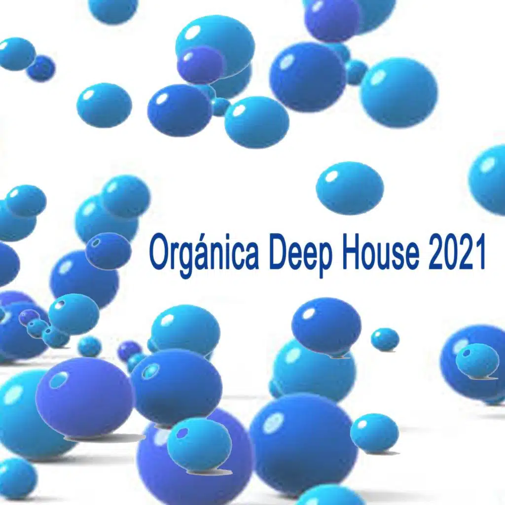 Orgánica Deep House 2021 (The Finest Organic Ethnic House, Downtempo, Dreamy House, Nomadic & Melodic Techno Songs to Ease Your Mind)