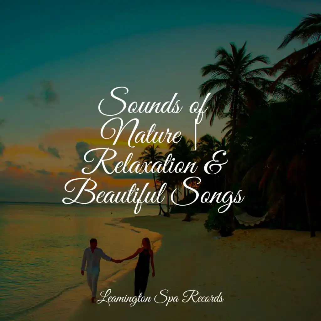 Sounds of Nature | Relaxation & Beautiful Songs
