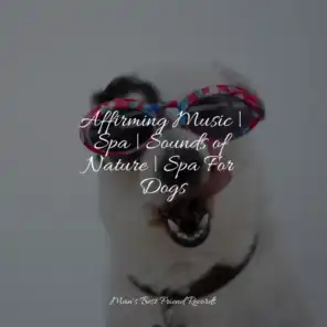 Dog Music Club, Calm Doggy, Music for Calming Dogs