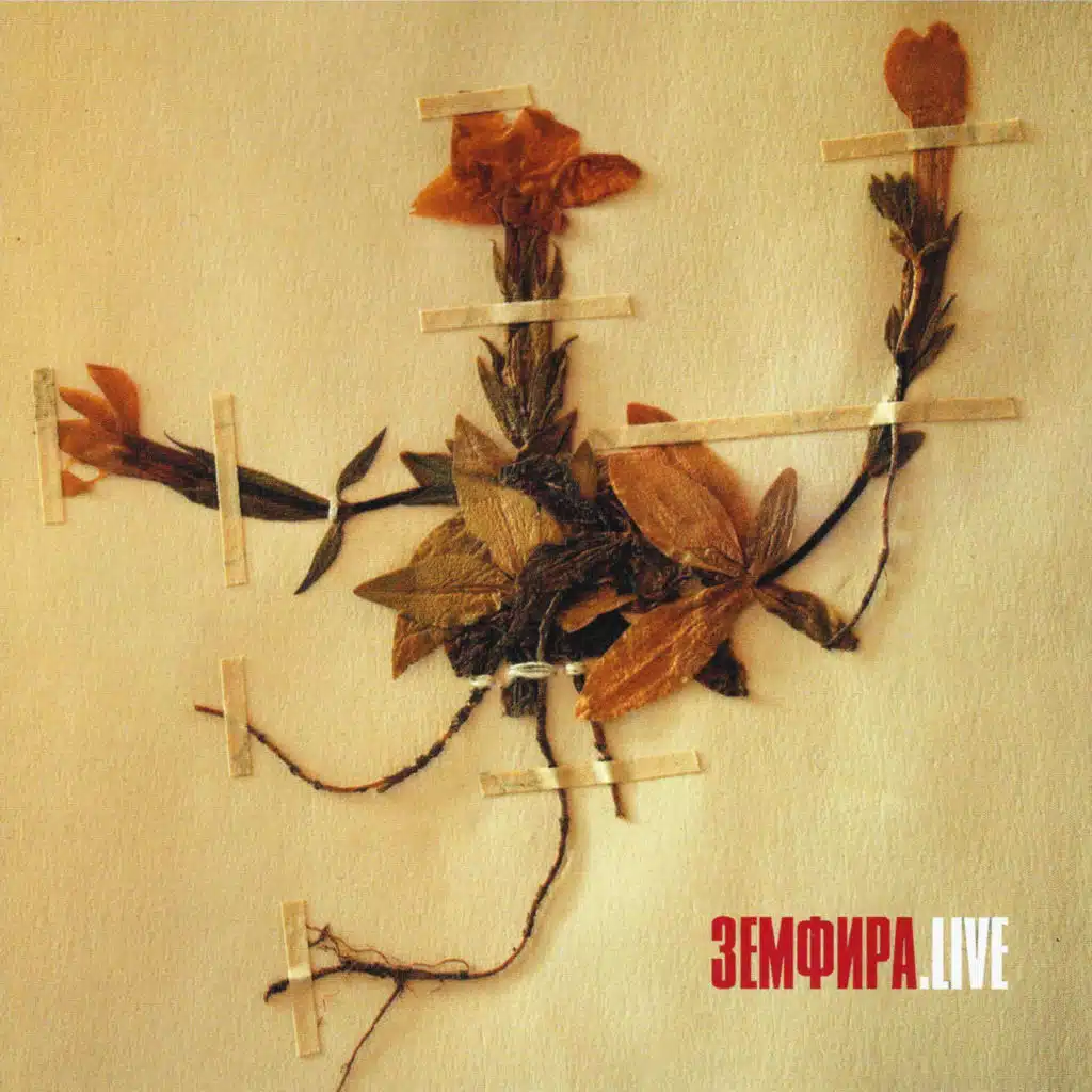 ДАЙ МНЕ РУКУ (Я ПОЖМУ ЕЁ) [LIVE]