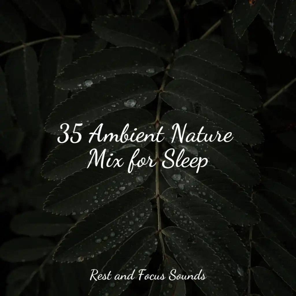 35 Ambient Nature Mix for Sleep