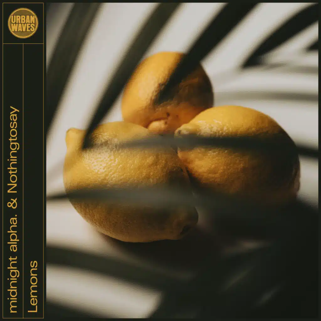 Nothingtosay & midnight alpha.