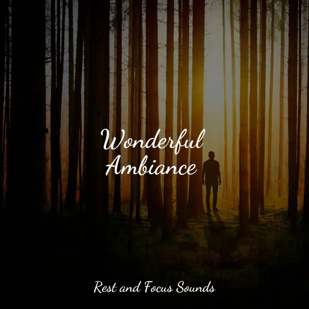 Wonderful Ambiance