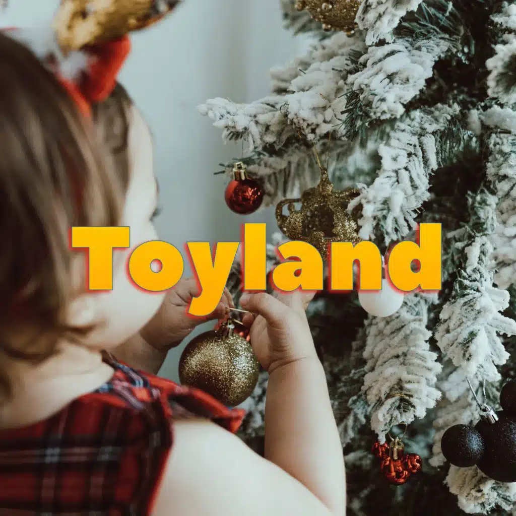 Toyland