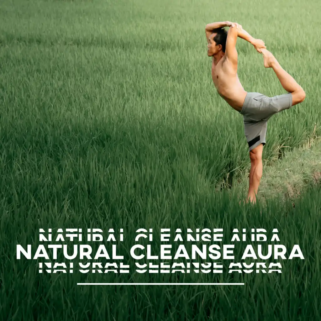 Natural Cleanse Aura: Pure Mind and Body, Contemplation Journey, Anti Stress Place, Meditation Music