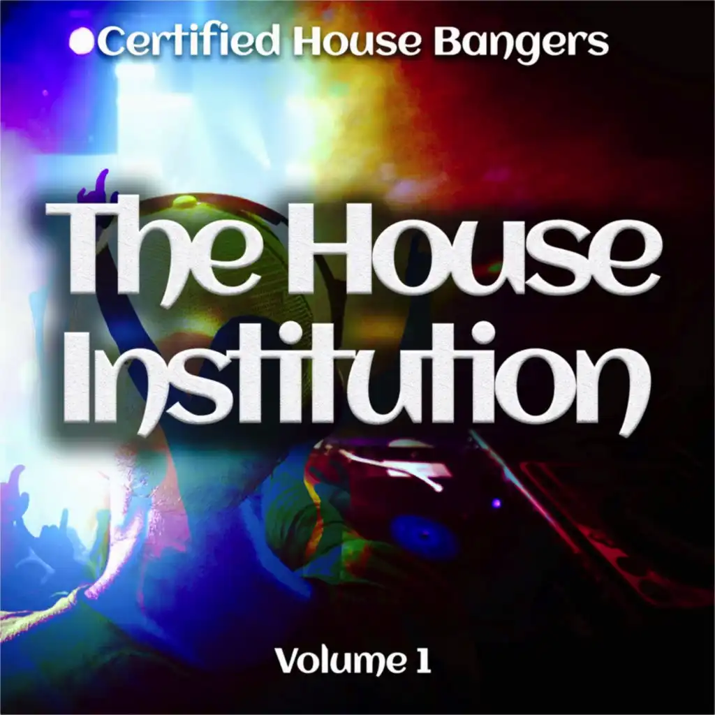 The House Institution, Vol. 1 (Certified House Bangers)