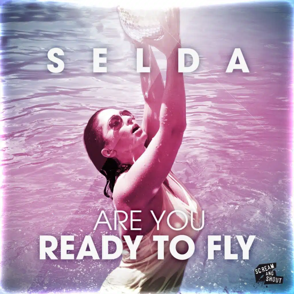 Are You Ready to Fly (Pitchbrothers Remix)