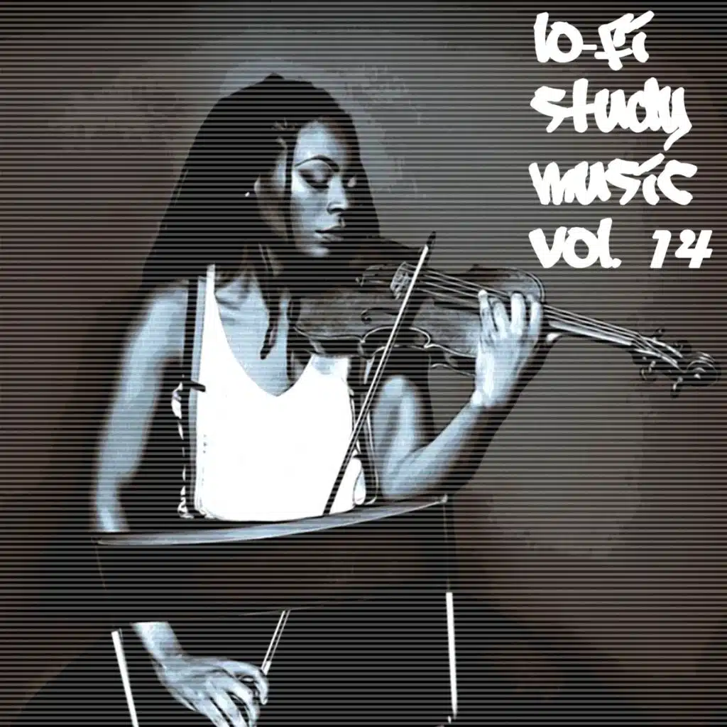 Lo-Fi Study Music, Vol. 14