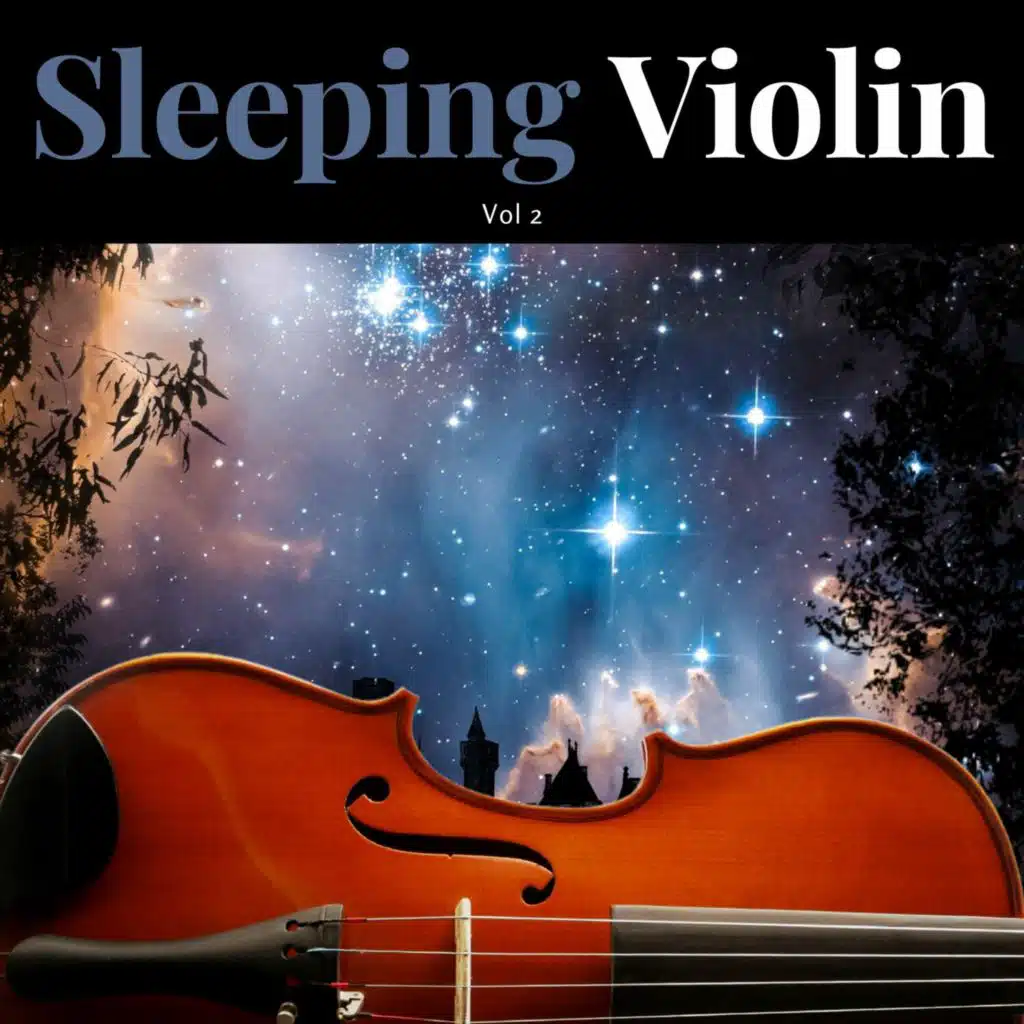 Sleeping Violin Vol. 2