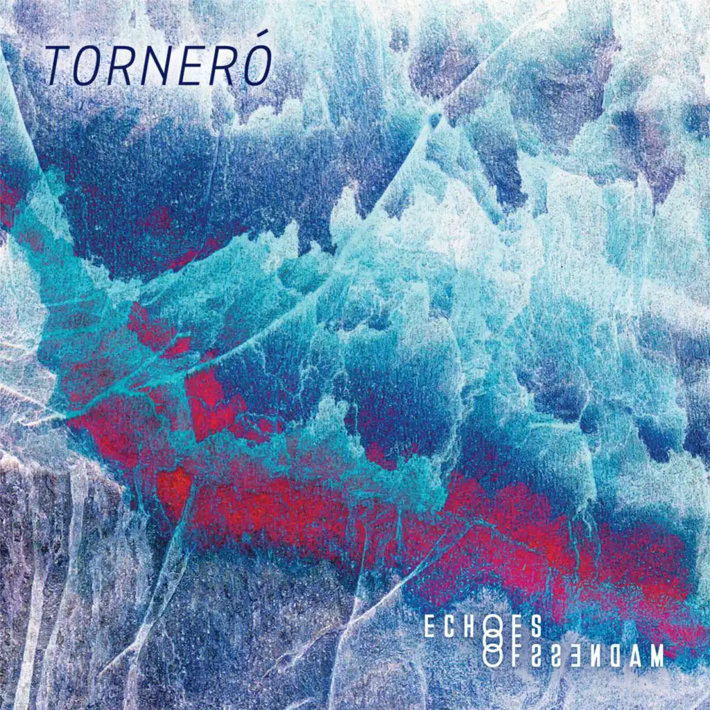 Torneró (Cover) [feat. Echoes Of Madness]