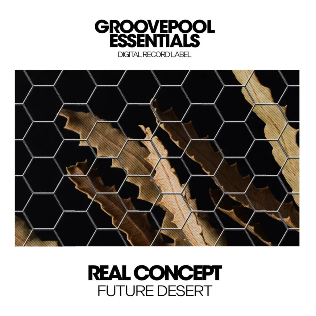 Future Desert (Club Mix)
