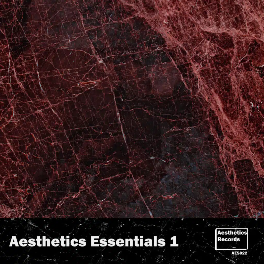 Aesthetics Essentials 1