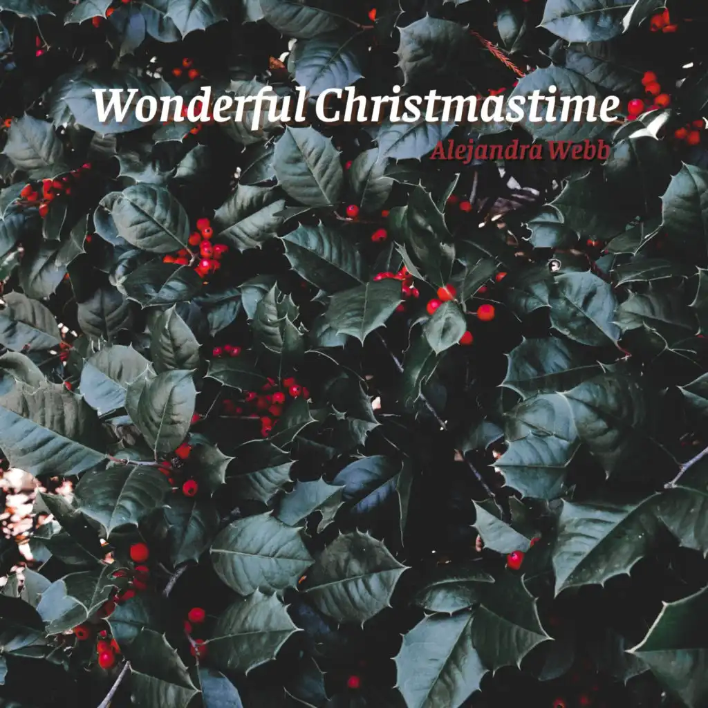 Wonderful Christmastime