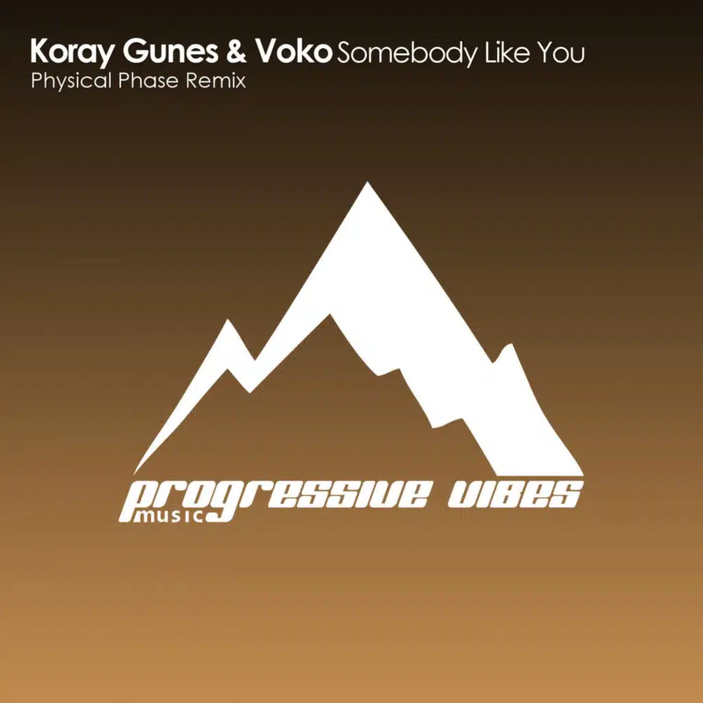 VOKO & Koray Gunes