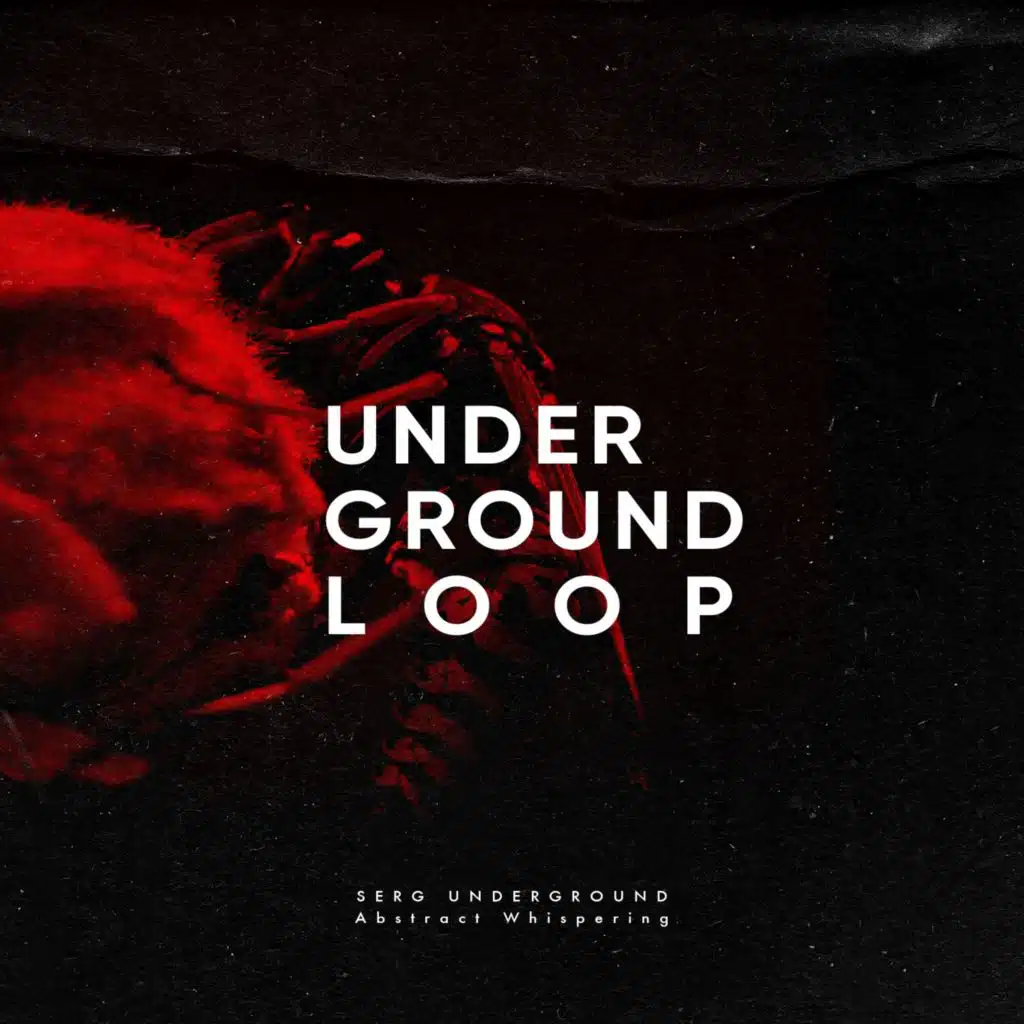 Abstract Whispering (Bright Structure Dub Remix)