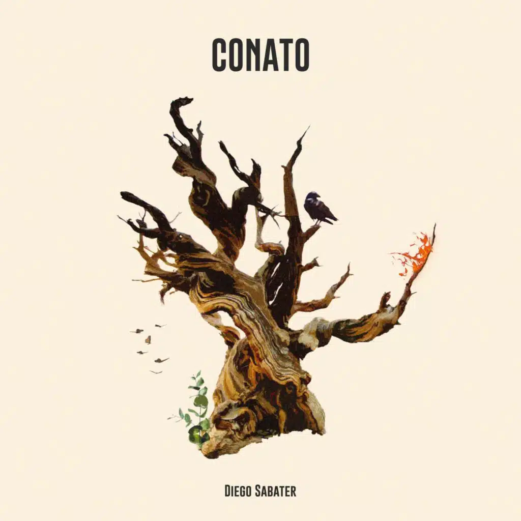 Conato