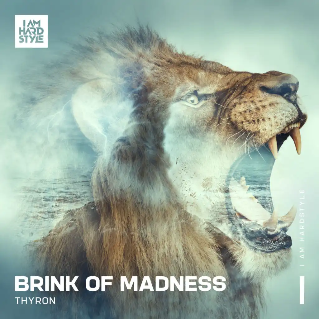 Brink Of Madness (Extended Mix)