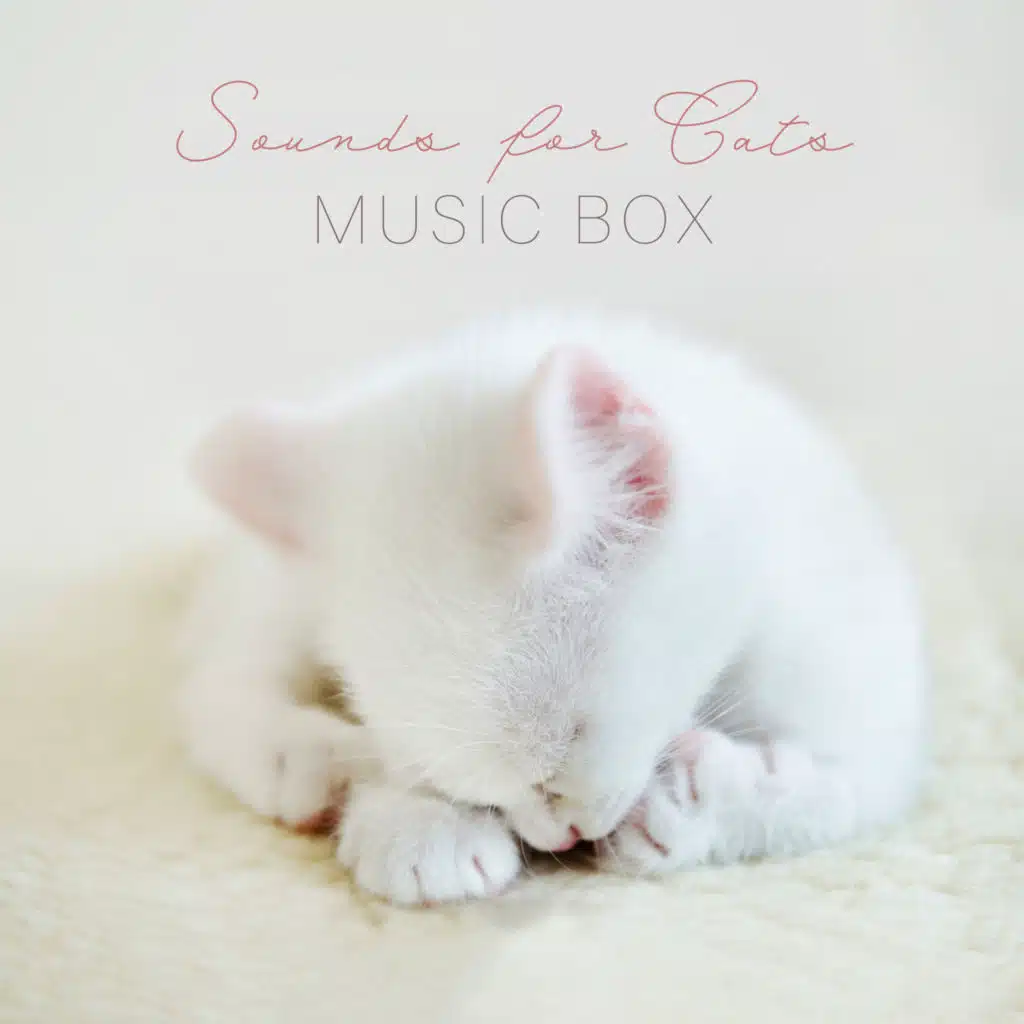Sounds for Cats: Music Box - Soothing and Calming Music for Kittens, Relaxing Sounds Therapy, Stress Relief, Anxiety Free