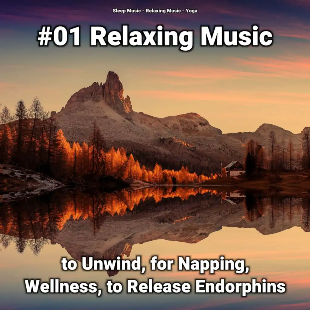 Relaxing Music for Everyone