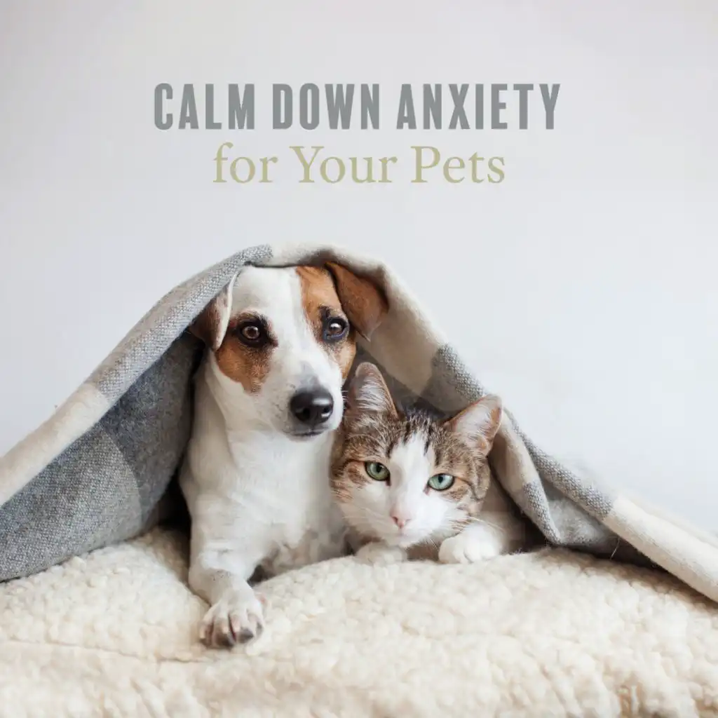 Calm Sleeping Music (Sweet Pets)