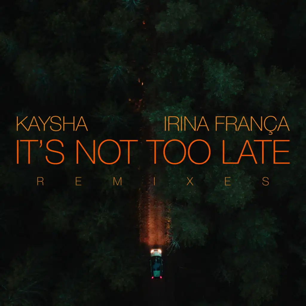 It's Not Too Late (Paulo Pequeno Remix)