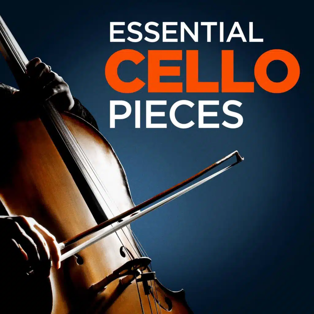 Concerto for Violin and Cello, Op. 102 "Double Concerto": III. Vivace non troppo