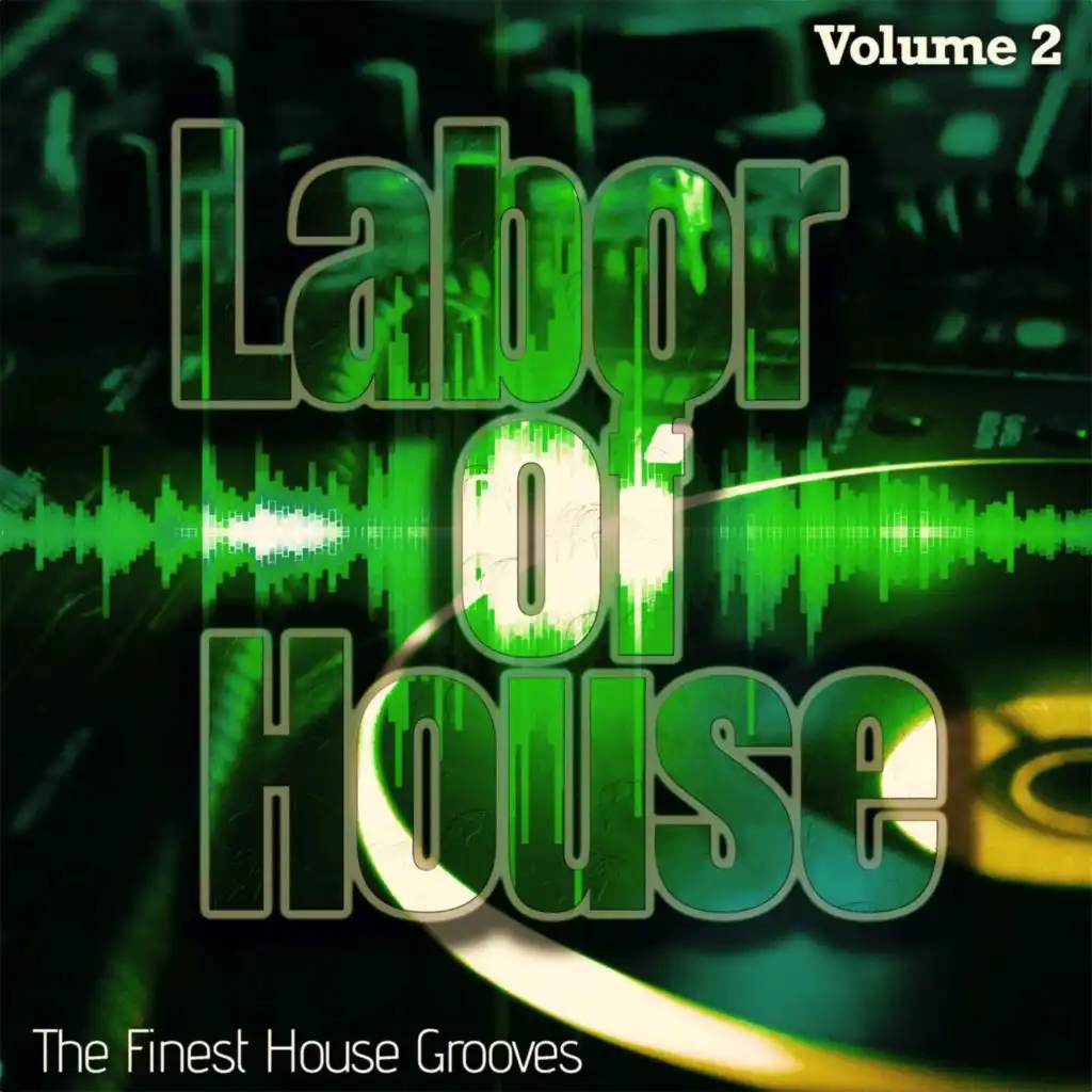 Labor of House, Volume 2 - the Finest House Grooves
