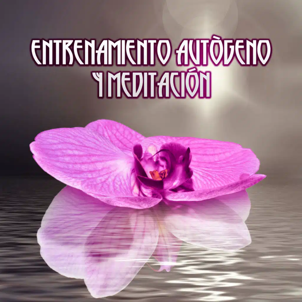 Entrenamiento Autògeno y Meditación - Música para Estudiar Concentrado, Masaje y Ejercicios Relajante Cuerpo y Alma, Canciones Relajantes Instrumentales
